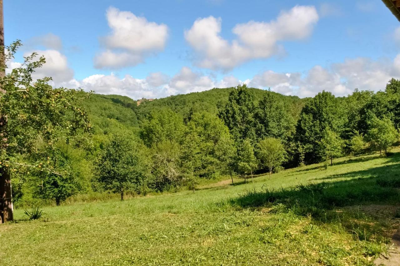Ancienne Sechoir A Tabac Idealement Place A Limeuil Pour 4 Dans La Nature المظهر الخارجي الصورة
